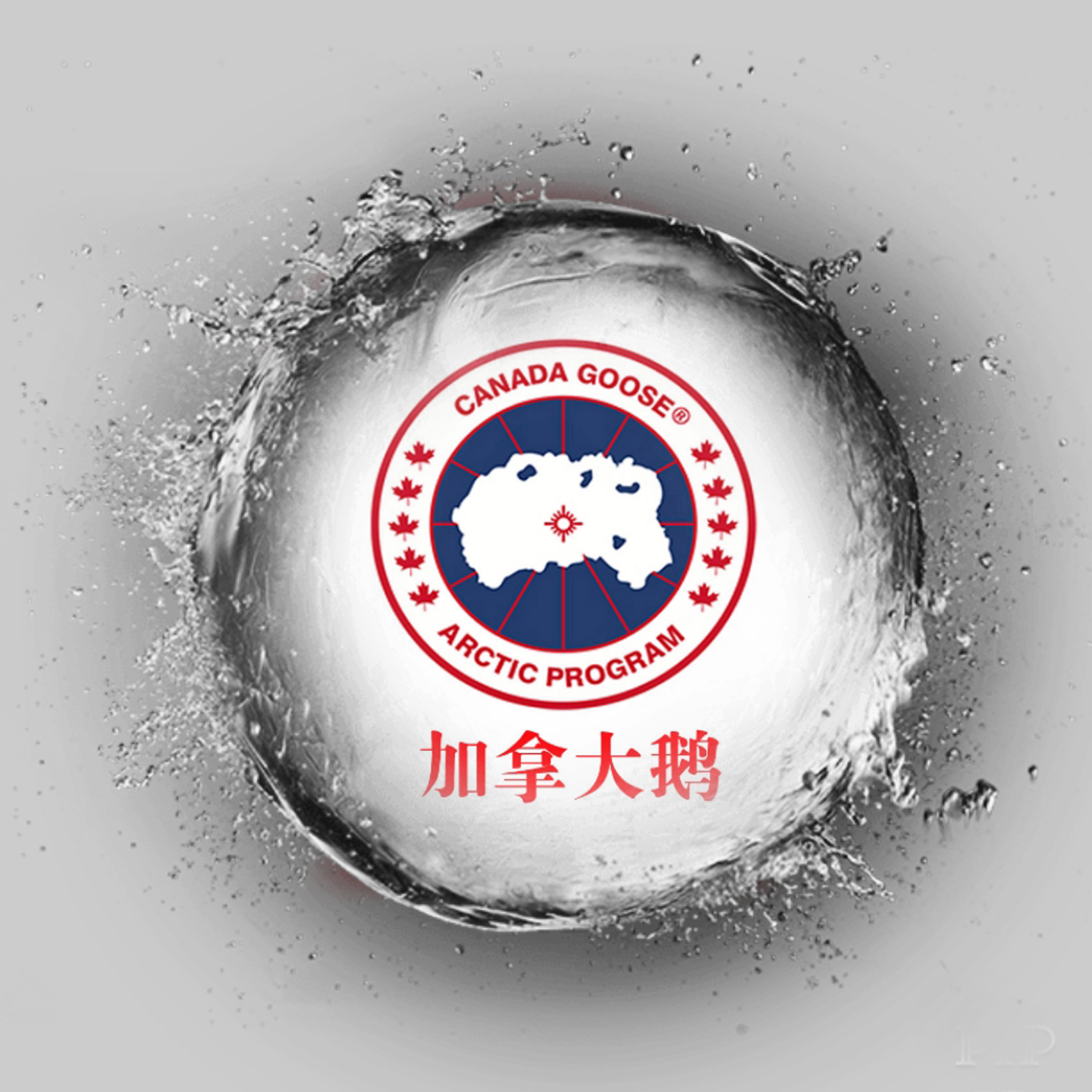 明星穿加拿大鹅都穿什么颜色,明星都爱穿的羊毛品牌