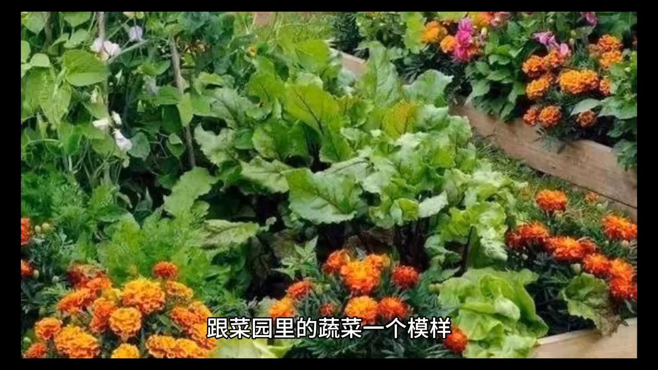 人物故事西施,人物故事50字