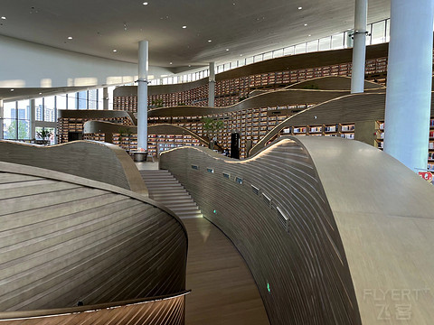 鍒濆涔嬫梾榛勯噾娴峰哺,鍒濆涔嬫梾