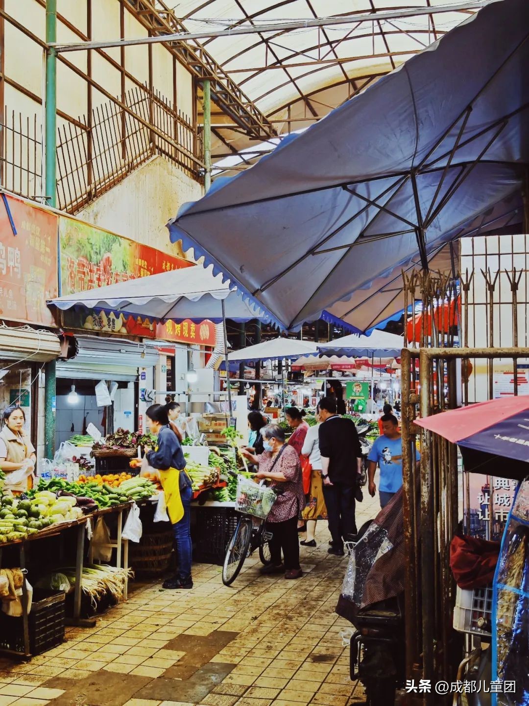 成都最值得逛的菜市场,成都必去的菜市场