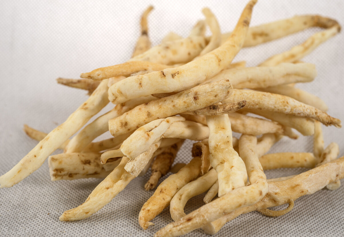 兽药知识兽药分类及药理配伍,兽药常识