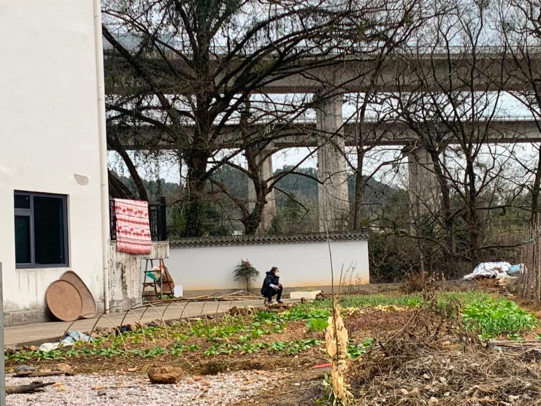 奥密克戎到达南极,奥密克戎在零下18度存活