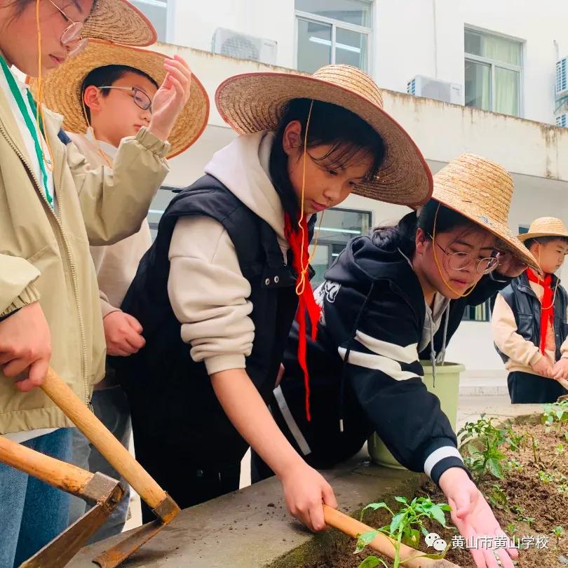 黄山有什么好学校,黄山有哪些好的学校