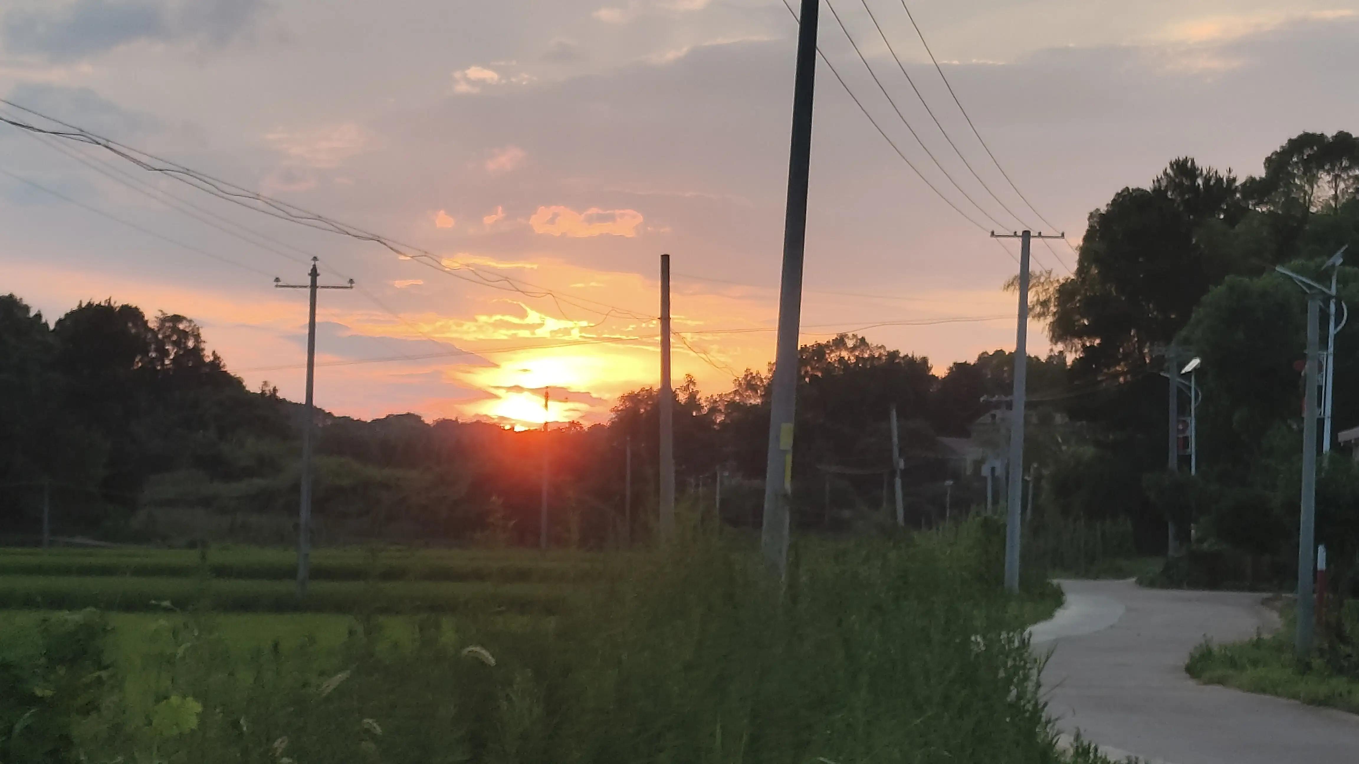 谈谈我的想法作文100字,谈谈错误想法