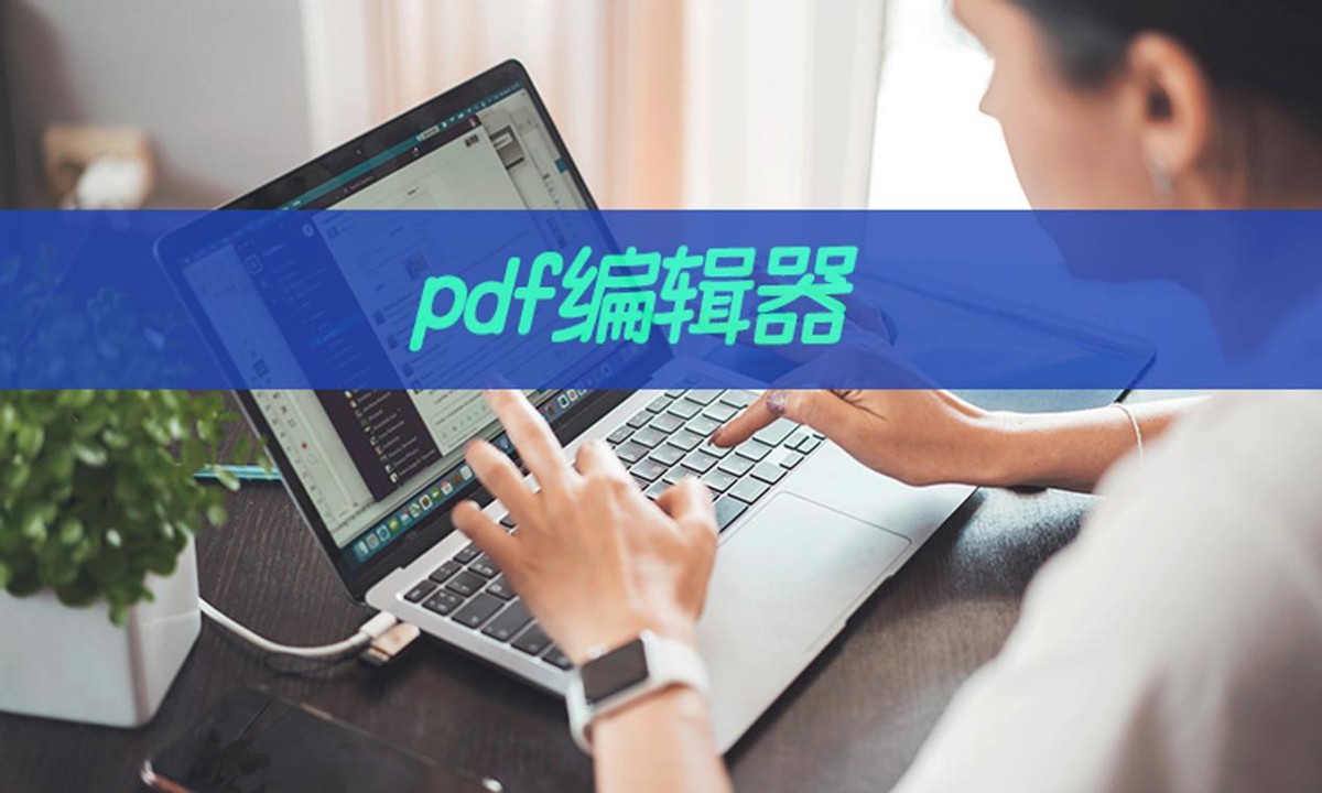 pdf编辑器如何编辑图片文字,迅捷pdf编辑器怎么转换word文档