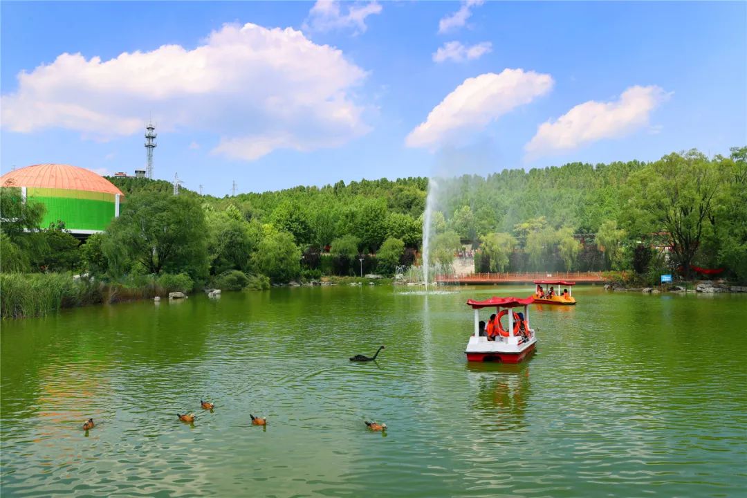 济南夏日森林游玩攻略,藏在济南的夏日度假圣地