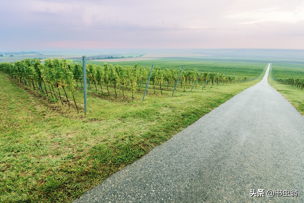 大吊车维修视频,大吊车维修视频大全