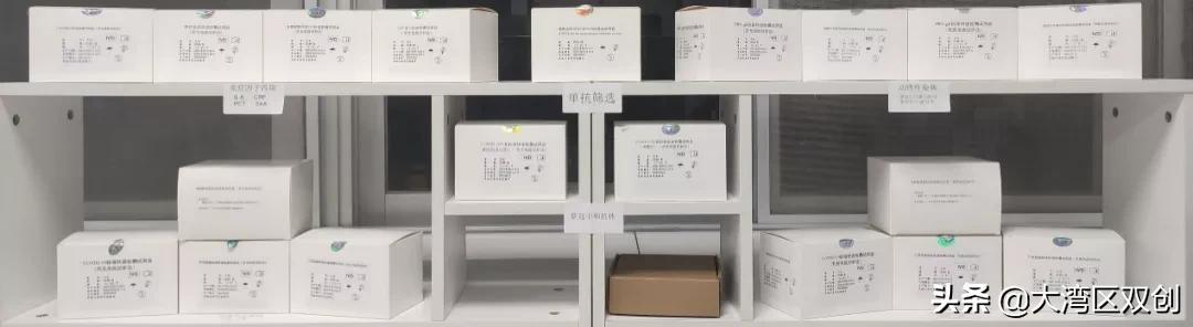 港澳青年逐梦,港澳青年创业机会