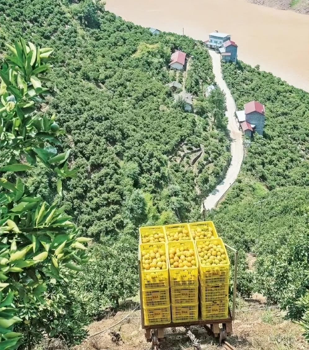 山地丘陵梯田的首选农机,农机怎么跑业务