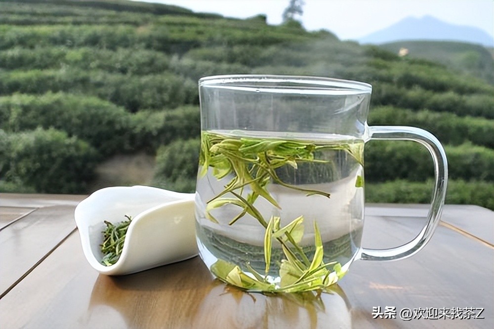 茶叶的有效期和保质期有什么区别,红茶有保质期吗过期的茶叶能喝吗