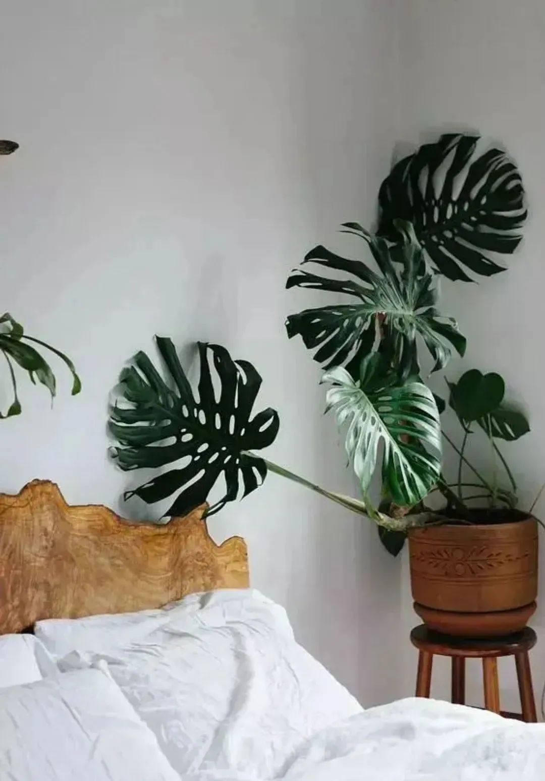 甲醛治理公司是不是智商税,甲醛到底是不是智商税