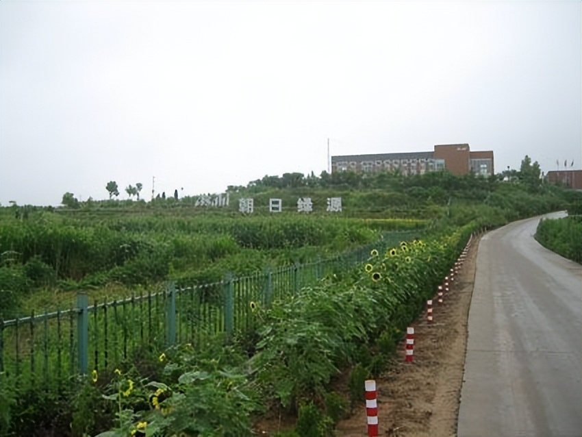 2006年日企在中国租1500亩地，5年不种庄稼，项目最后入不敷出