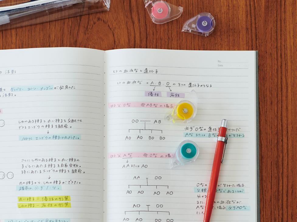 文具大赏集合,文具大赏笔筒