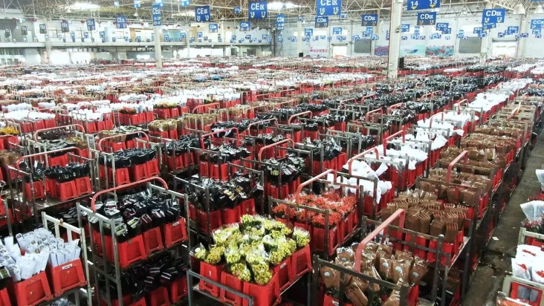 云花大结局云花和谁在一起了,斗南云花