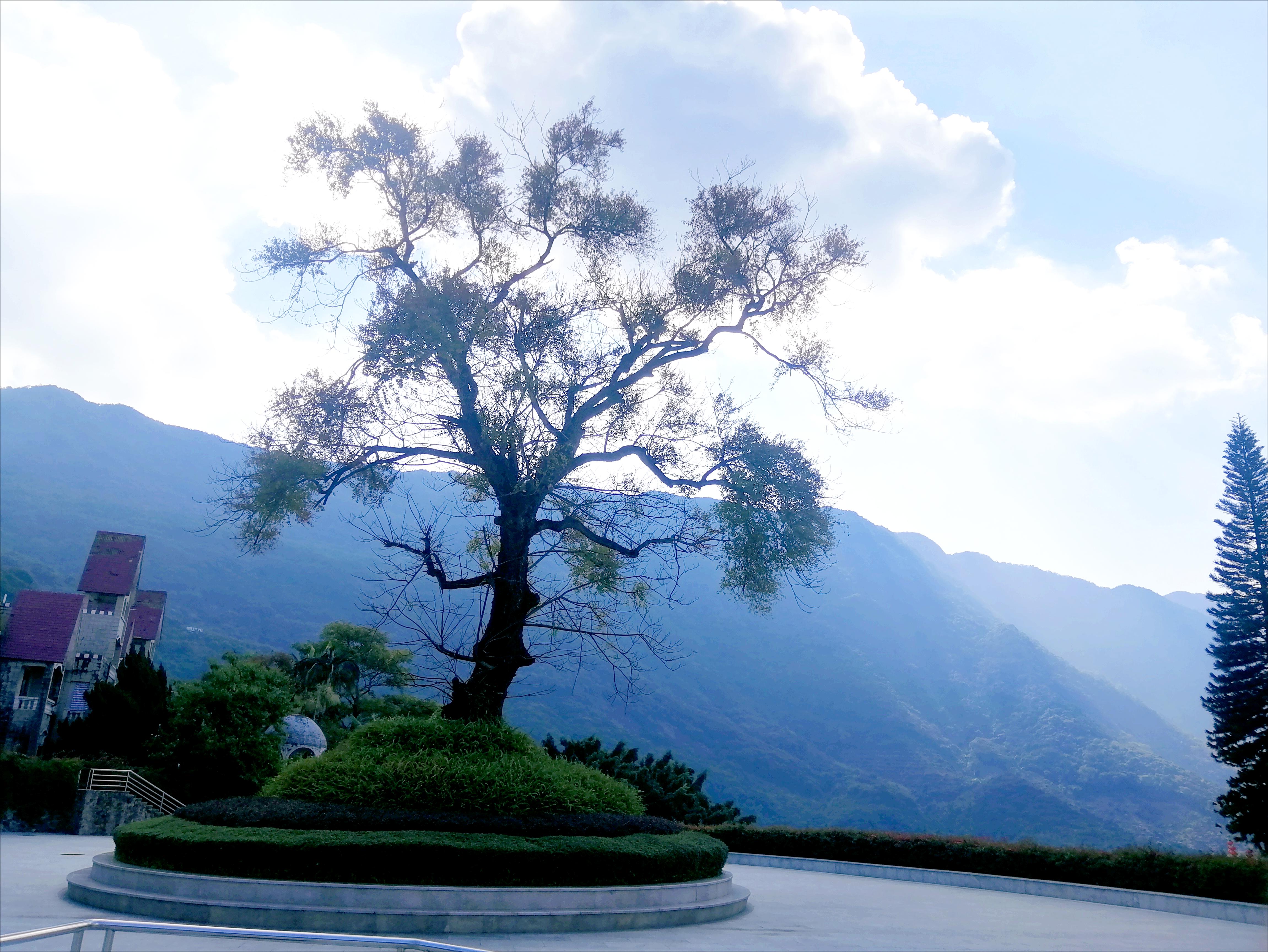 石门森林公园樱花谷交通线路,从化石门公园枫叶