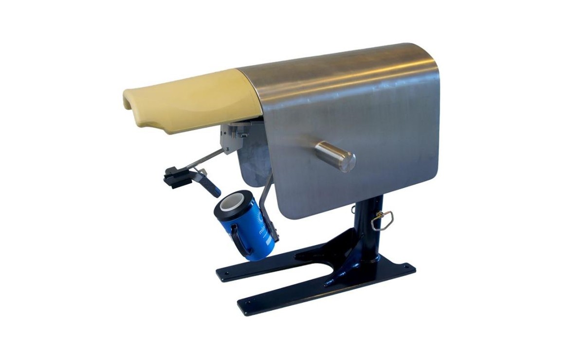 如何提高母猪的受孕率方案,猪用人工授精能提高受胎率吗