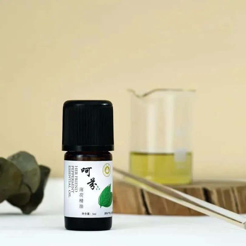 夏天家里蚊虫多教你一招不用蚊香,怎么驱蚊虫室内没有蚊香