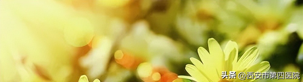 全民素养提升v计划,全民素养提升