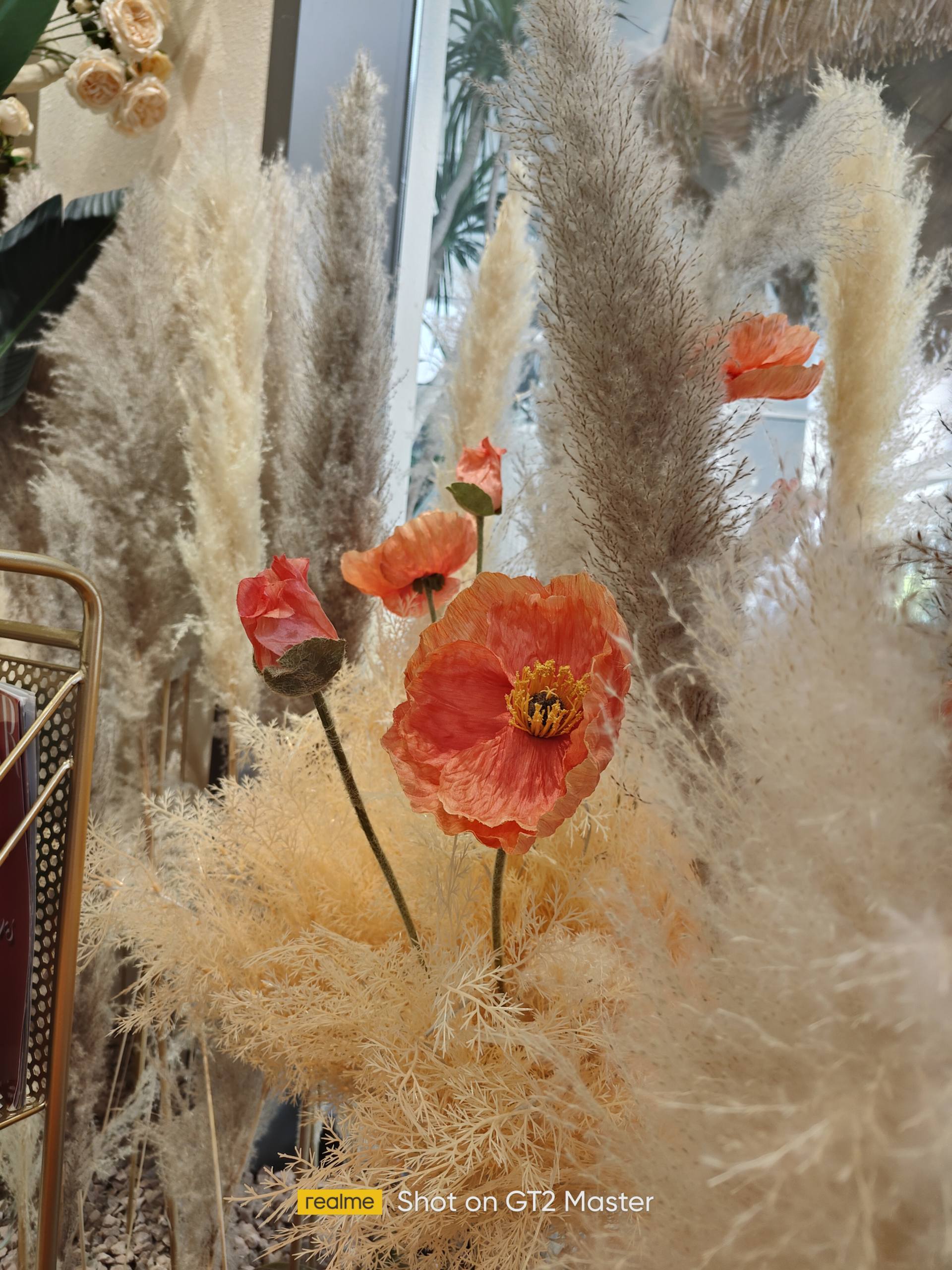 真我gt2大师探索版和上代对比,真我gt2大师探索版评测