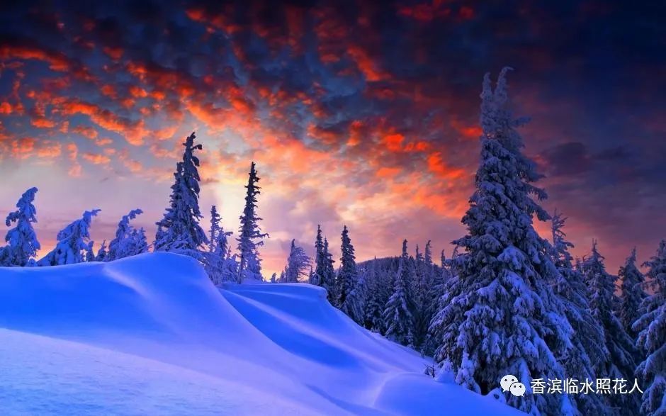 奋斗成就梦想习作500字六年级,奋斗成就梦想绘画