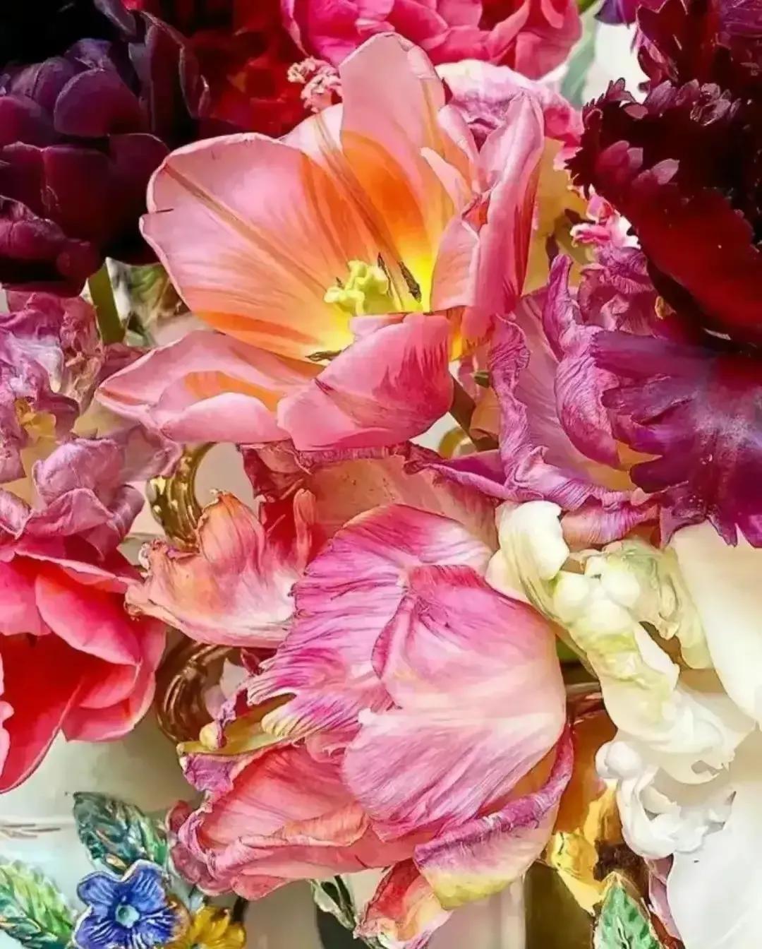 花朵盛开绚丽多彩让人赏心悦目,多姿多彩的花令人心情愉悦