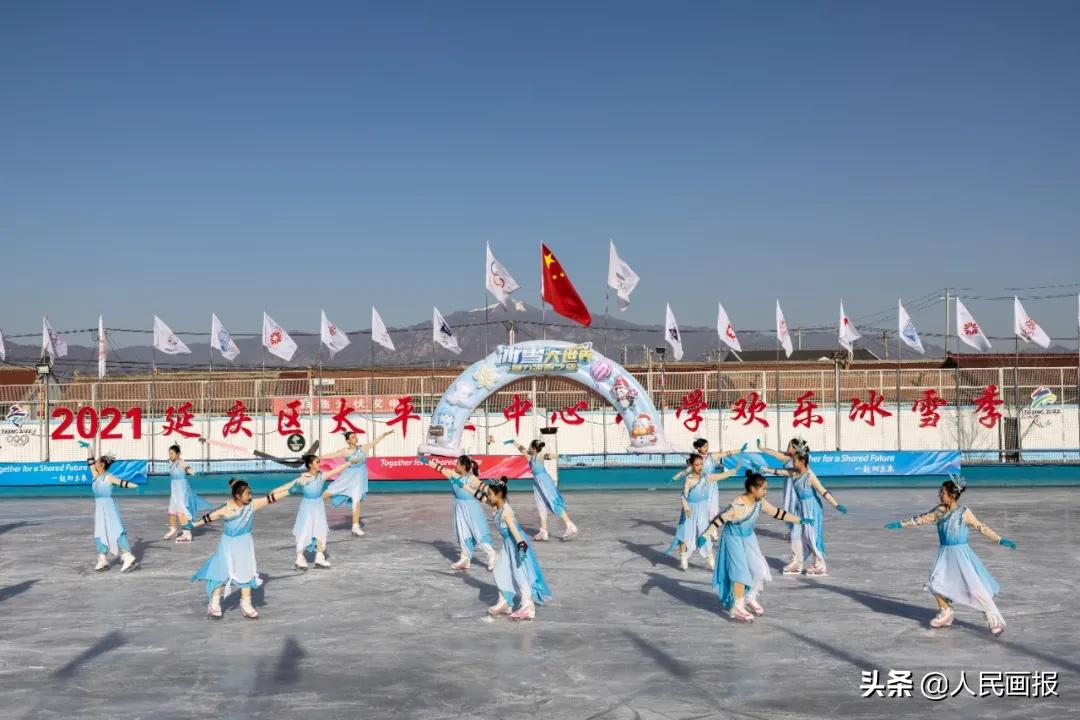 新春走基层新农人的绿色田园梦,新春走基层希望的田野上