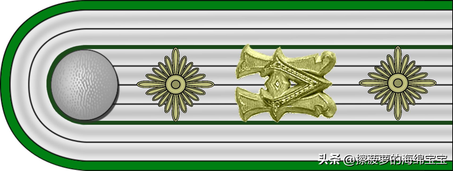 二战德国国防军医疗兵军衔标志