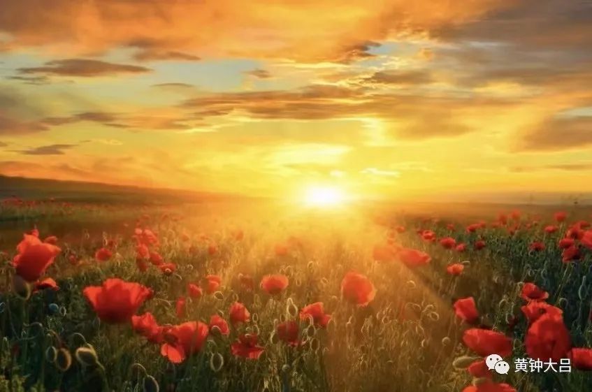 传统营销的变革之路,传统营销濒临死亡和转型