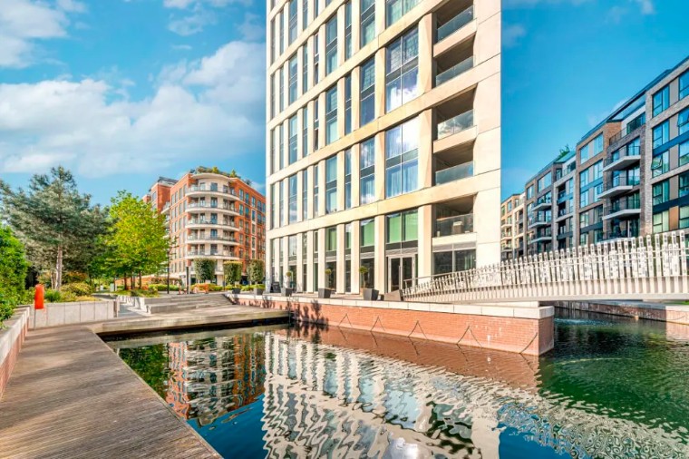 英国切尔西花展10张花园图,切尔西花展2019年度植物