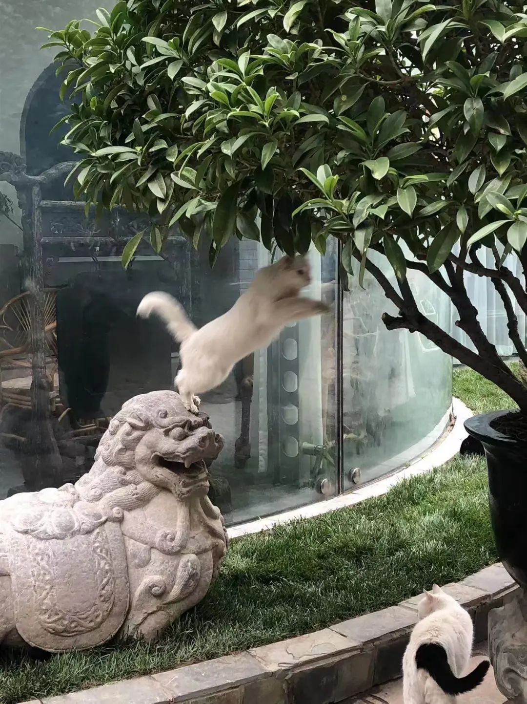 赵明明：上班摸鱼，是我的梦想!