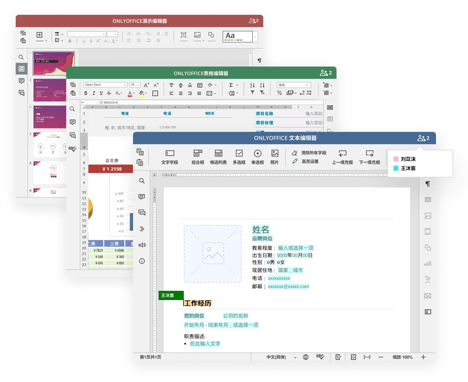 泄露带水印文档,文档中如何保护水印不被去除