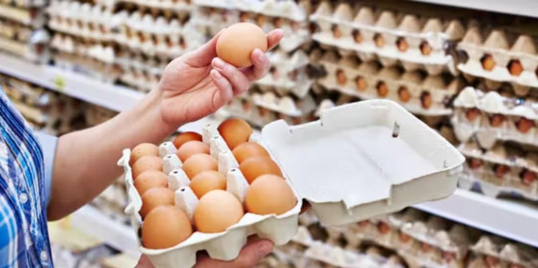 德国消费者,德国消费者的现状