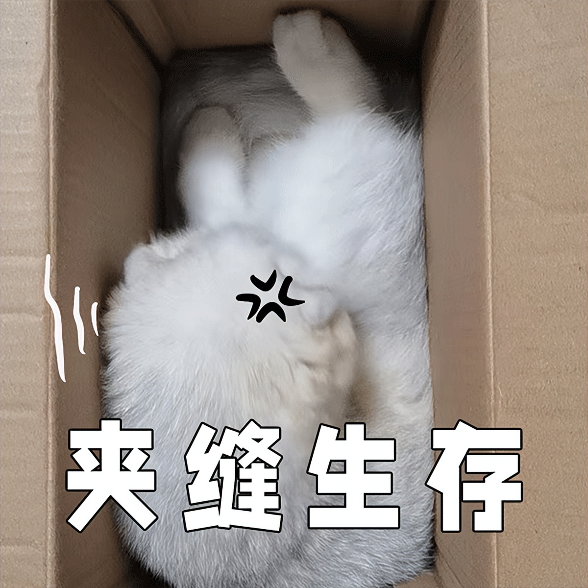 58850元！你达标了吗？