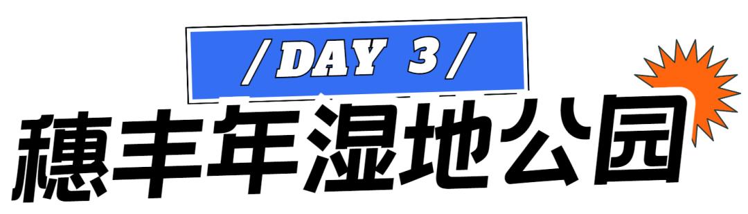 东莞城市学院citywalk,来东莞读书