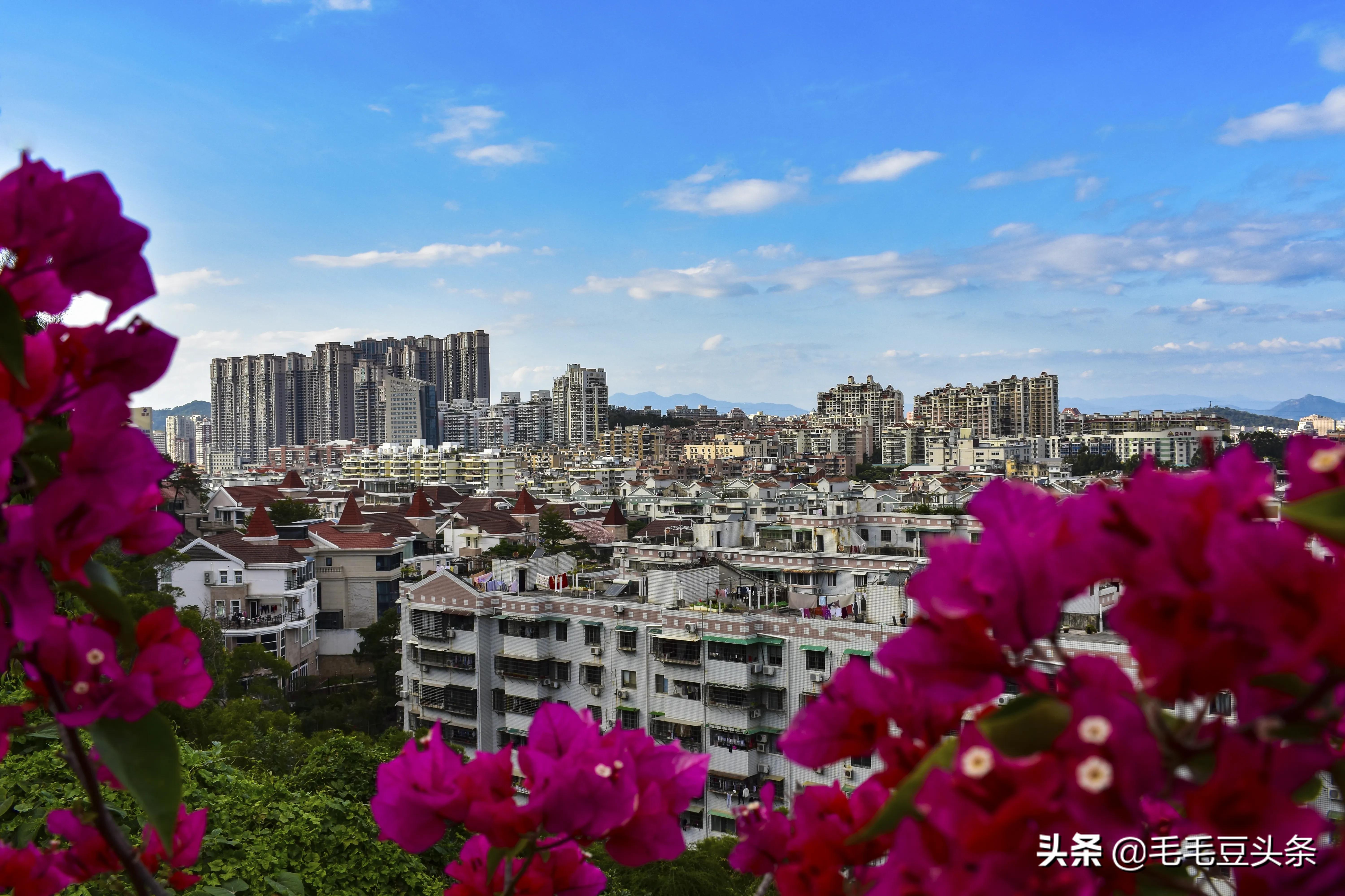 厦门景点大全自驾游攻略,厦门有哪些景点免费门票