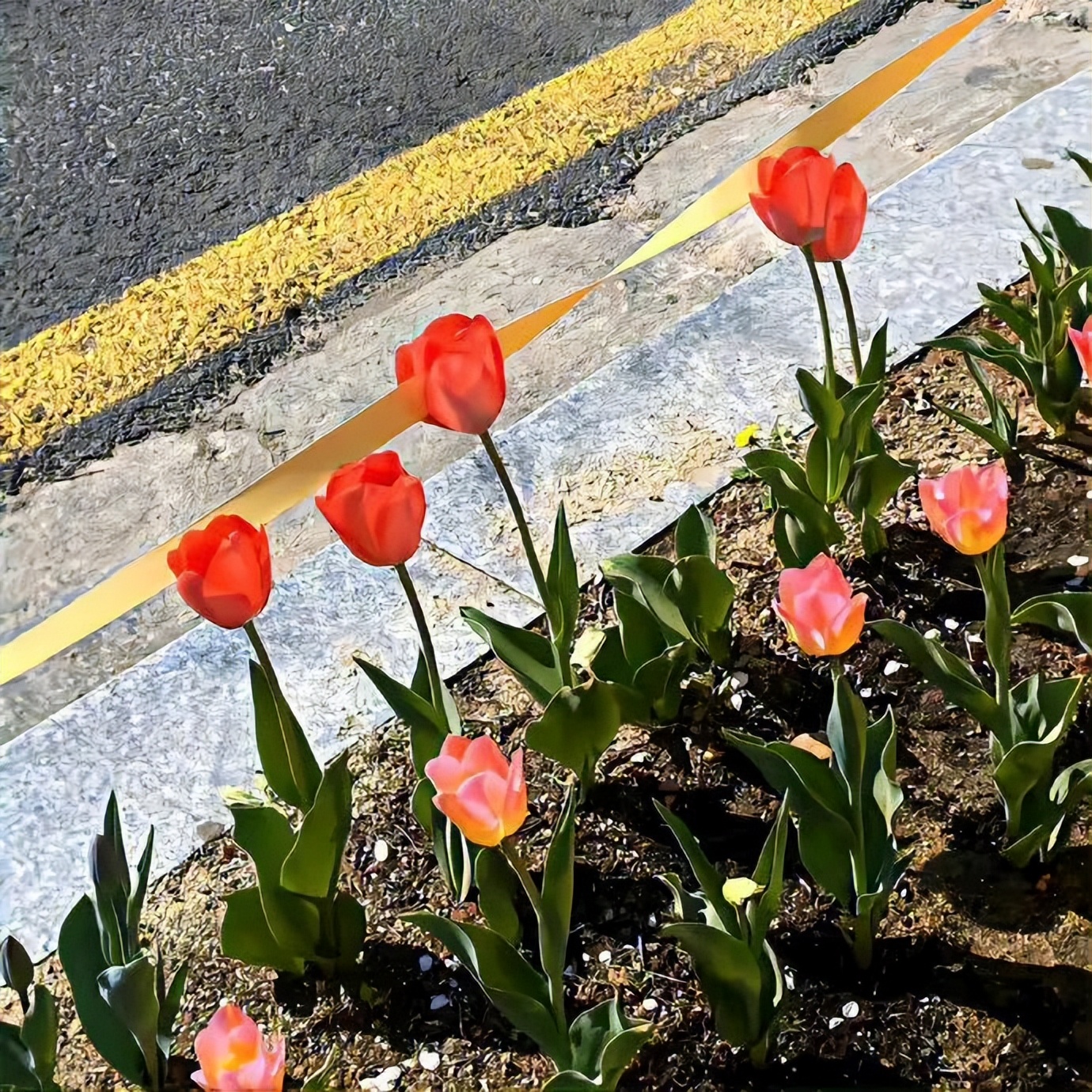 微信朋友圈背景图动态教程,背景图朋友圈高级感简约风