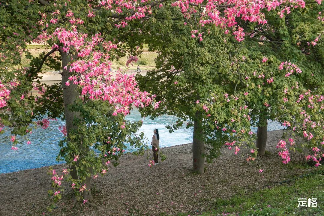 国内好看小众的湖泊,深圳好玩的湖泊有哪些