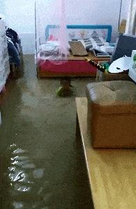 隔壁的单亲妈妈来我家借跑步机,但是为什么她还穿高跟鞋?: