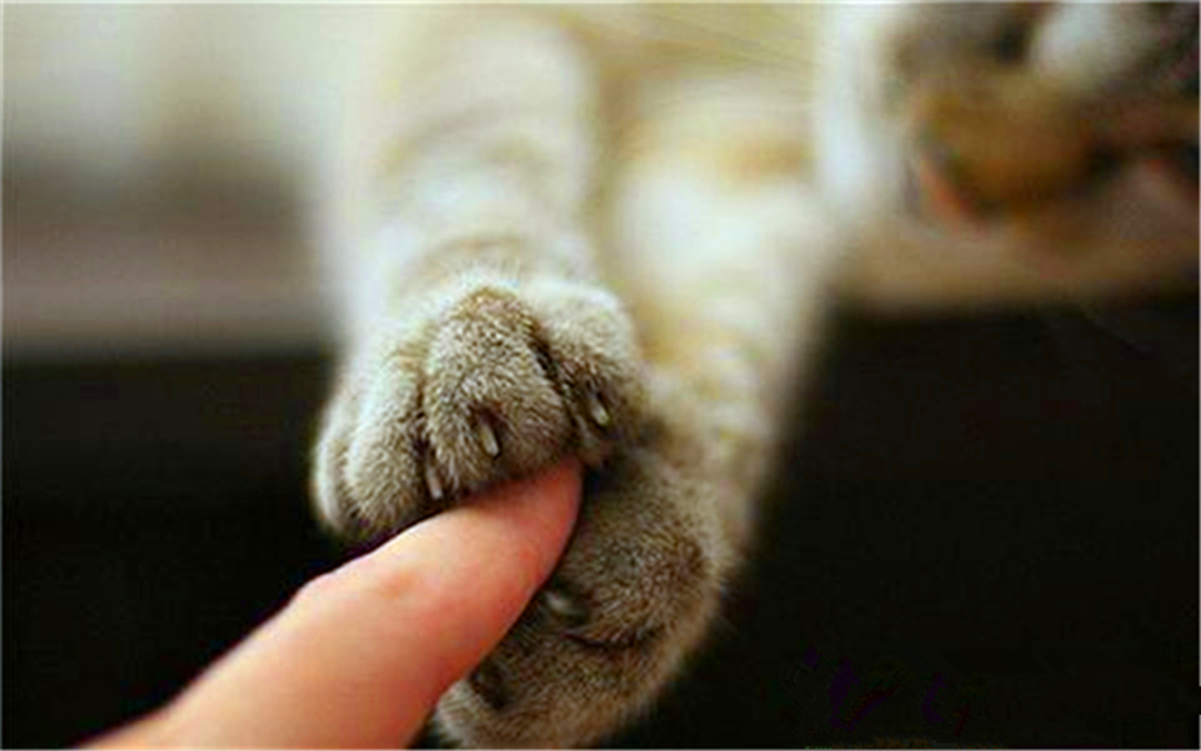 腋窝里面有硬块艾滋病,女子洗澡发现腋窝肿块