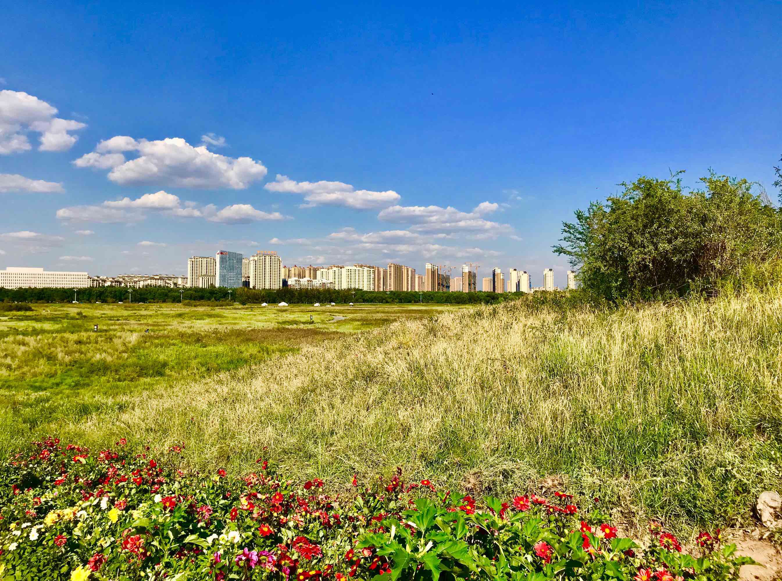 包头首富金利斌个人资料,金利斌白手起家