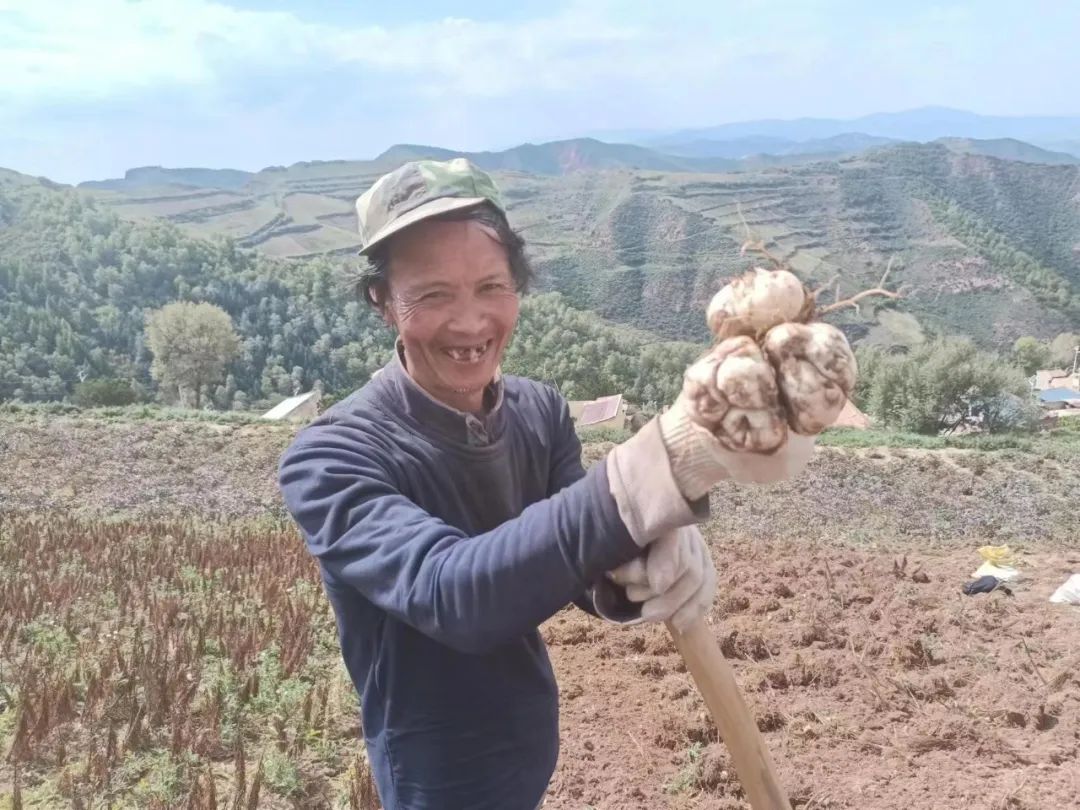 我们这十年原视频,我们这十年东乡