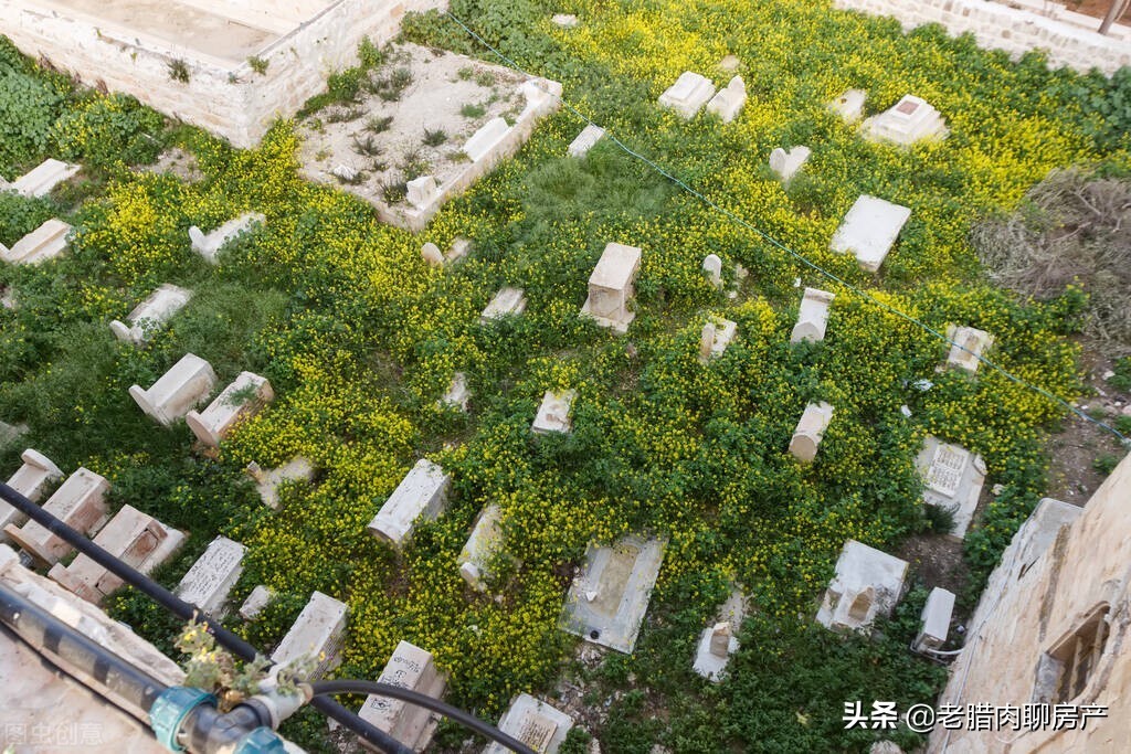 现在墓地比房价贵吗,骨灰房比墓地便宜吗