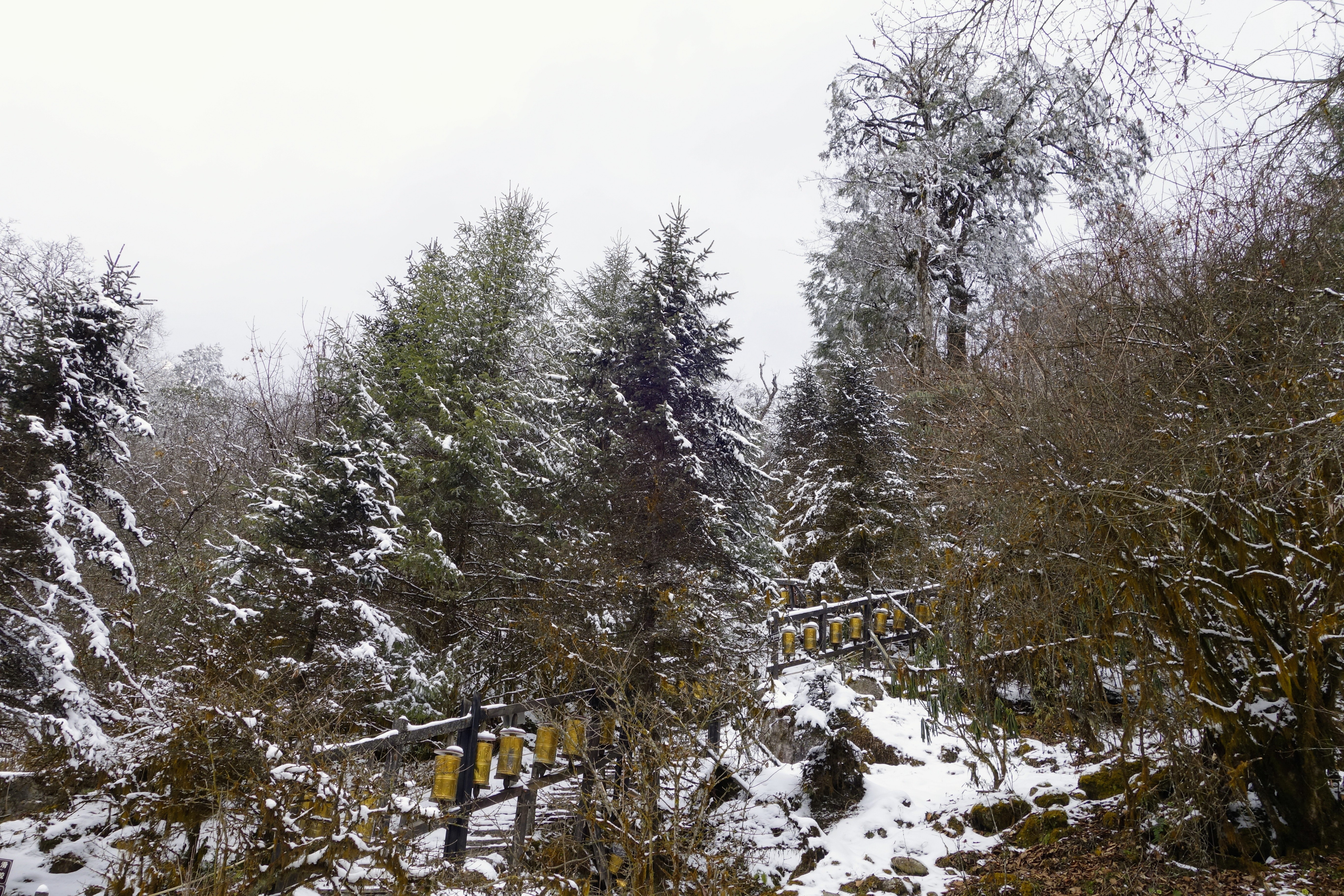 川西圣境游玩攻略,甘孜燕子沟攻略