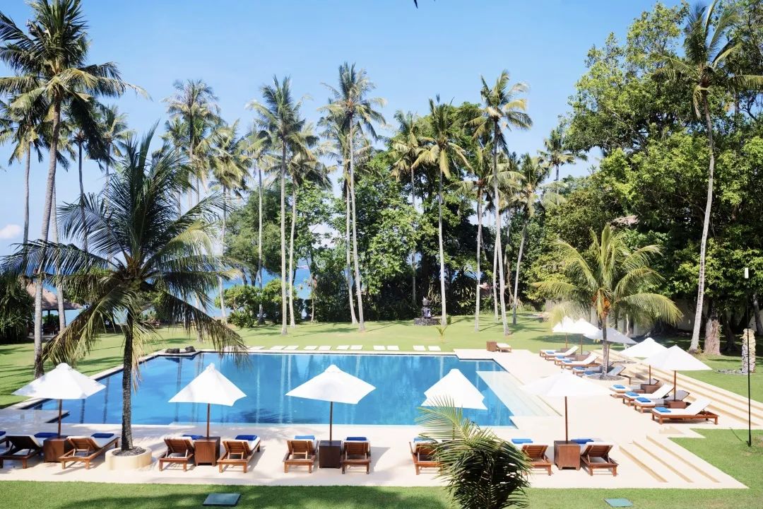 这可能是全球性价比最高的一家阿丽拉