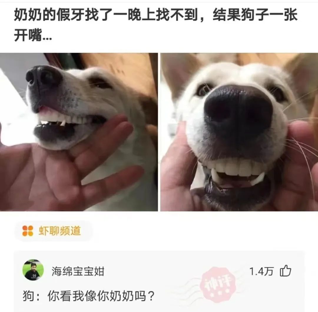 狗嘴里吐不出象牙梗,狗嘴里吐不出象牙是形容词么