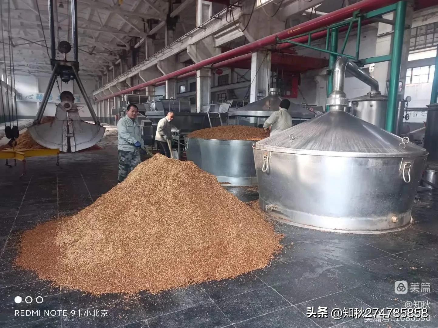 我与百脉泉酒的不解情缘