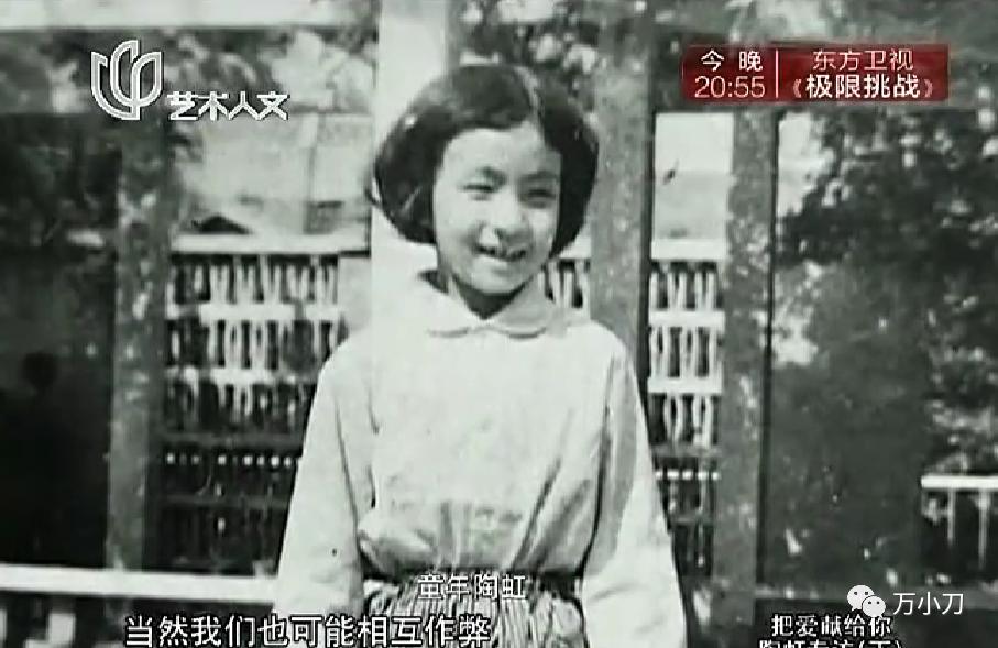 小陶虹演员个人资料,陶虹八卦娱乐圈