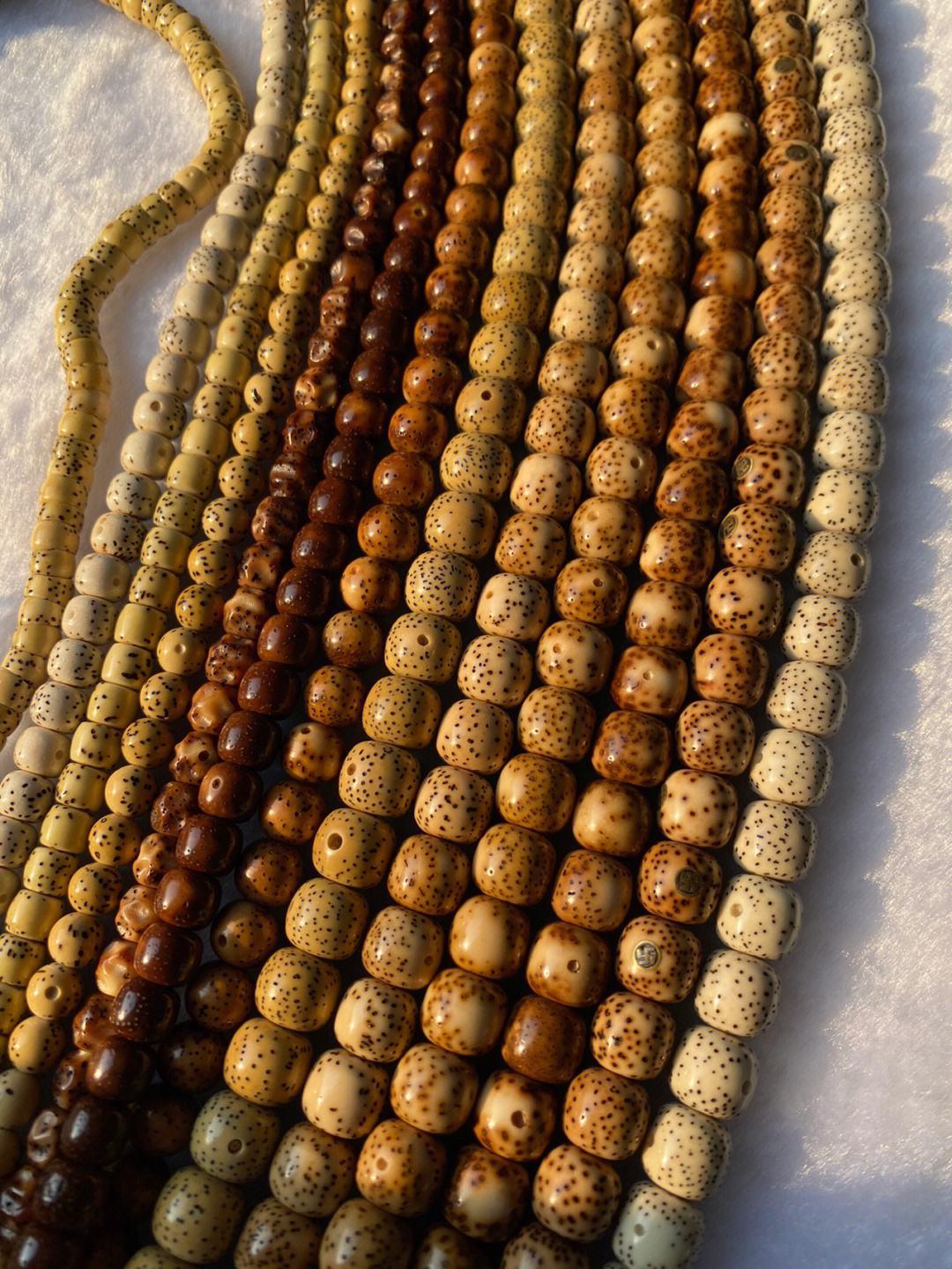 星月菩提到底什么样的好,星月菩提什么品相好