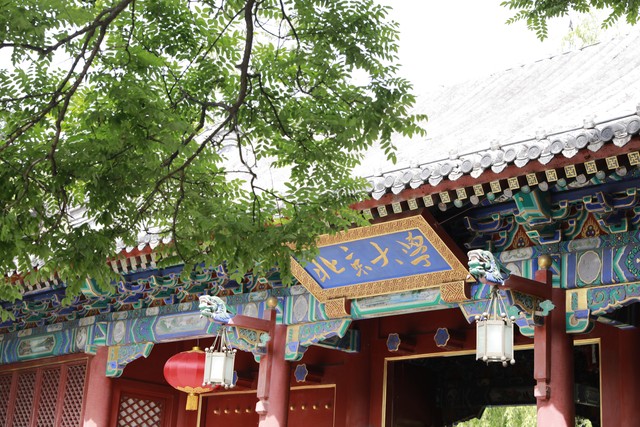 山东大学预防医学专业排名,临床医学专业大学排名山东