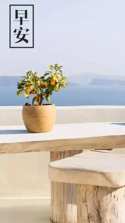 悟透人生的早安经典语录大全,不负时光不负自己早安